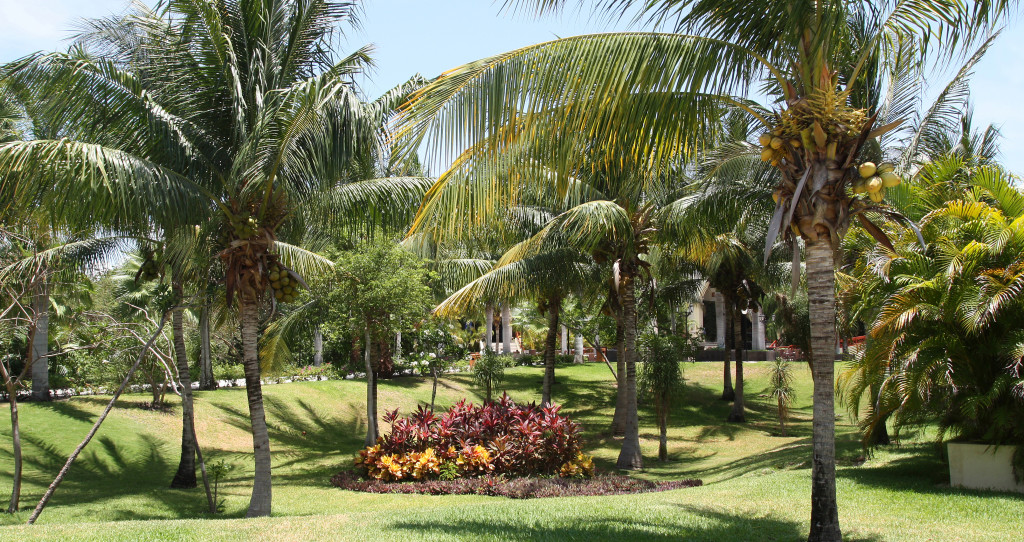 GreenEarthPestControlMelbourneFloridaTreePlantCare Green