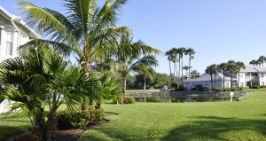 Green-Earth-Pest-Control-Melbourne-Florida-Best Tree and Shrub Care