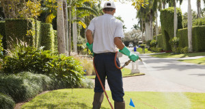 Green-Earth-Pest-Control-Melbourne-Florida-lawn-maintenance-guide