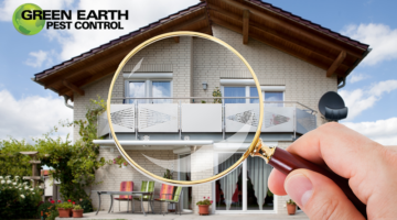 Top 10 Pest Control Tips For Fall